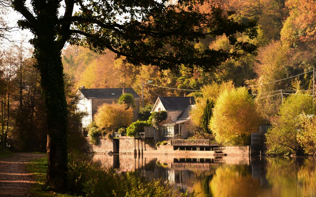 Redefining Balance, Burnout, and Reinvention, Lessons in “Toxic Grit” from Amanda Goetz