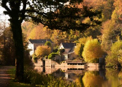 Redefining Balance, Burnout, and Reinvention, Lessons in “Toxic Grit” from Amanda Goetz